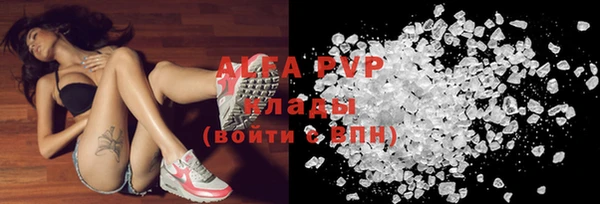 твердый Магас
