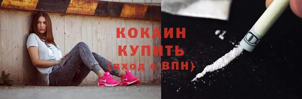 твердый Магас