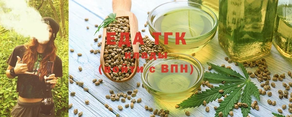 дживик Майский